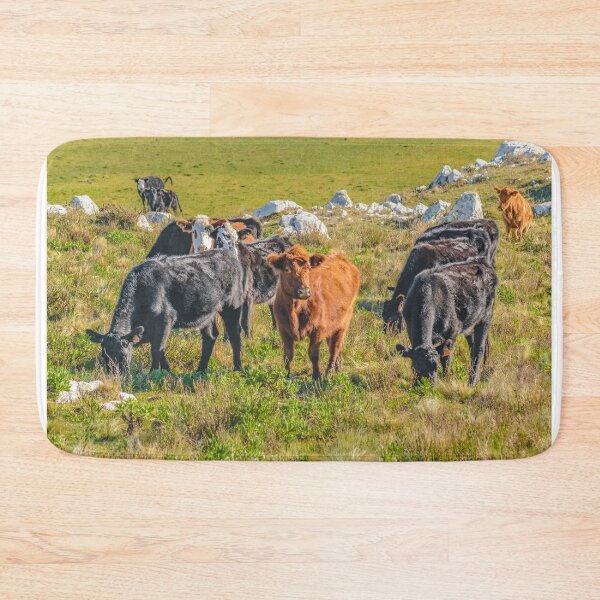 Item preview, Cows at Countryside, Maldonado, Uruguay designed and sold by DFLC Prints.