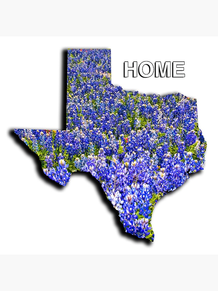 Thumbnail 3 of 3, Poster, State of Texas Shape with Bluebonnets and the word HOME designed and sold by Warren Paul Harris.