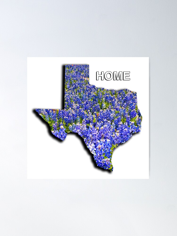 Poster, State of Texas Shape with Bluebonnets and the word HOME designed and sold by Warren Paul Harris