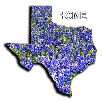 Artwork thumbnail, State of Texas Shape with Bluebonnets and the word HOME by Warren Paul Harris