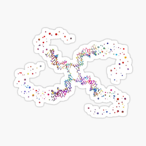 Item preview, The structure of DNA, DNA molecule, watercolor DNA, dna, molecule designed and sold by Rosaliartbook.