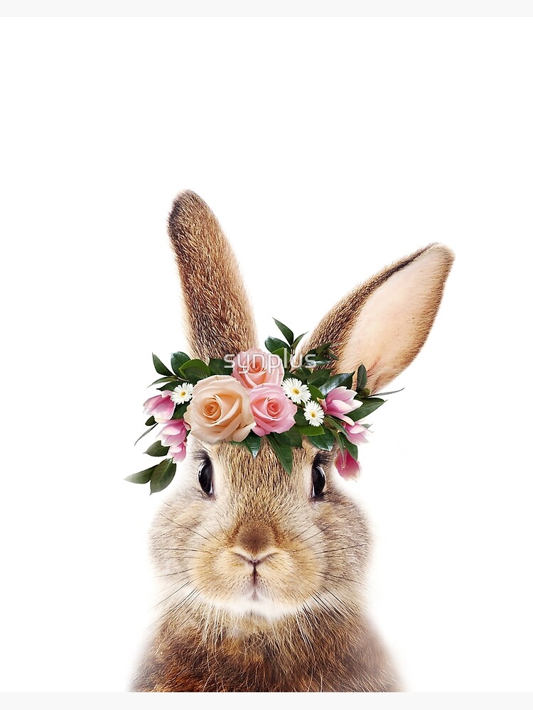 Baby Rabbit With Flower Crown, Baby 