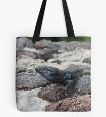 black and blue lizard in tenerife Tote Bag