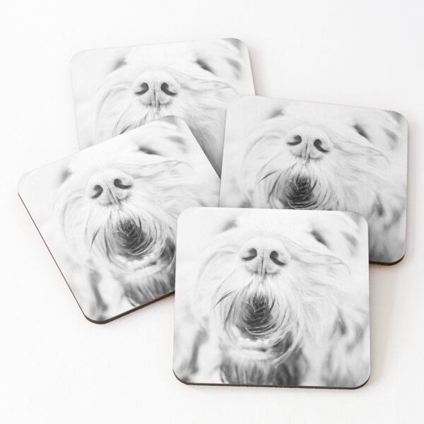 Item preview, Laughing Spinone designed and sold by FOLK ART FUSION by heidiannemorris.
