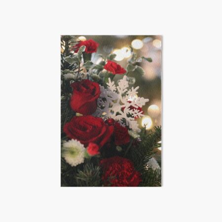 Aperçu de l'œuvre Joyeuses fêtes créée et vendue par Photosbybrooke.
