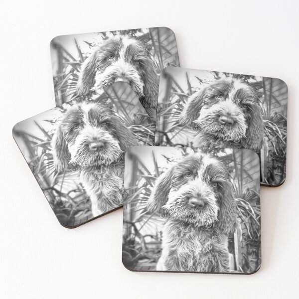 Sitting puppy Spinone Coasters (Set of 4)