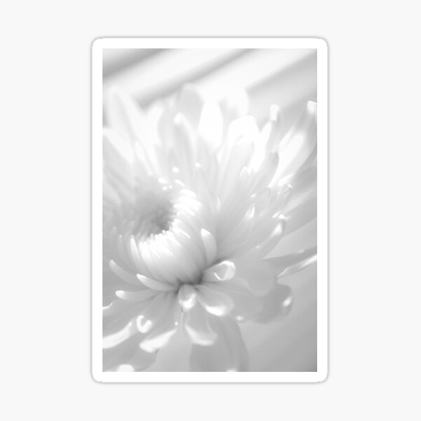 Infrared Flower Botanical / Nature / Floral Photograph Sticker
