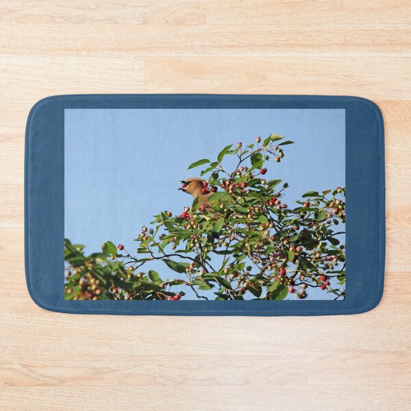 Item preview, Feast Fit For A Waxwing designed and sold by Debbie Oppermann.
