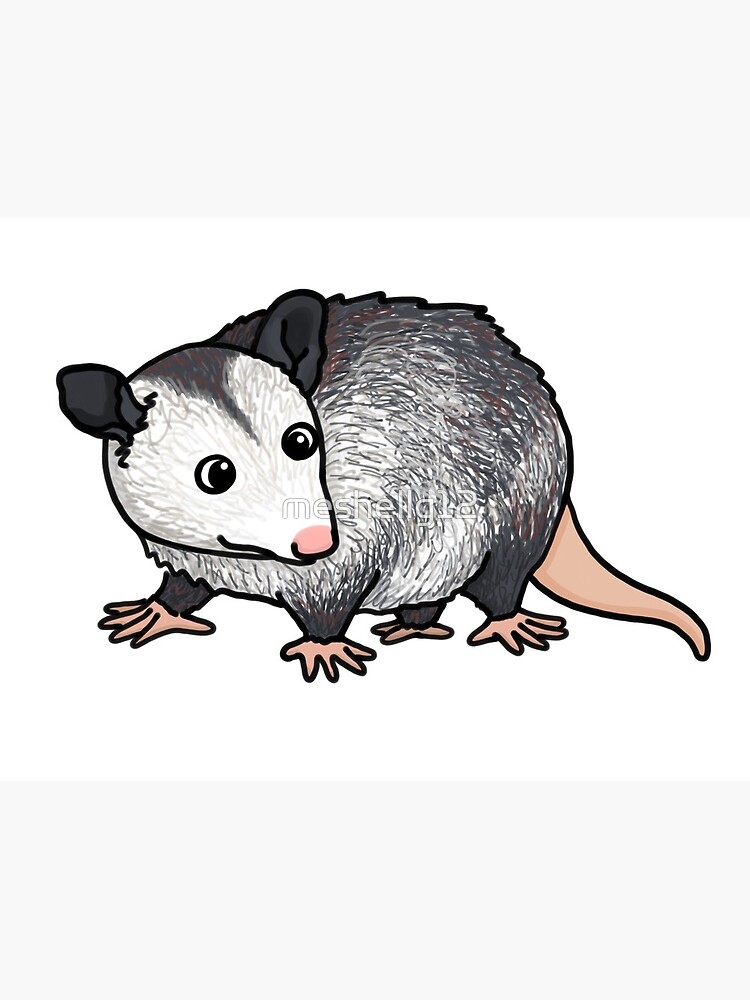 Opossum Cute Cartoon Greeting Card By Meshellg12 Redbubble