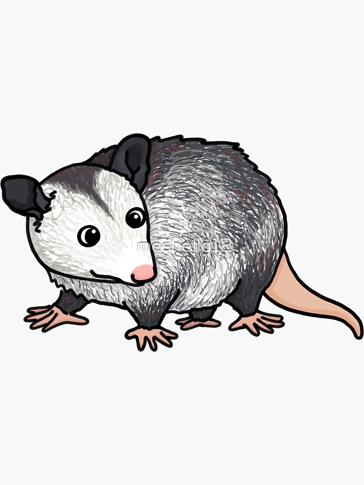"Opossum Cute Cartoon" Sticker for Sale by meshellg12 | Redbubble