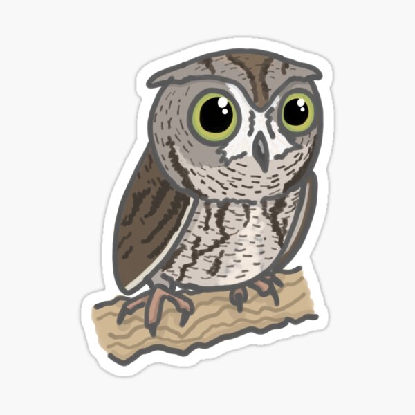 Western Screech Owl Cartoon Drawing Sticker