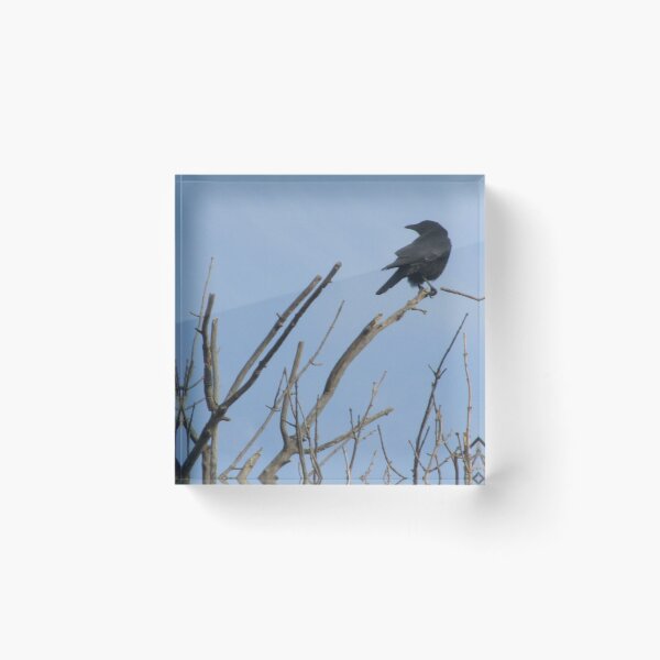 Item preview, Crow on a Branch designed and sold by TheVioletWitch.