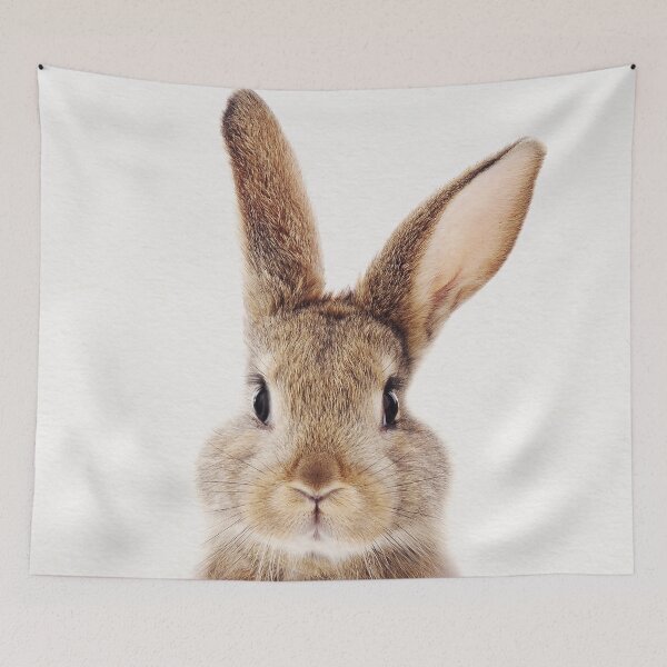 Item preview, Bunny Rabbit, Baby Animals Art Print by Synplus designed and sold by synplus.