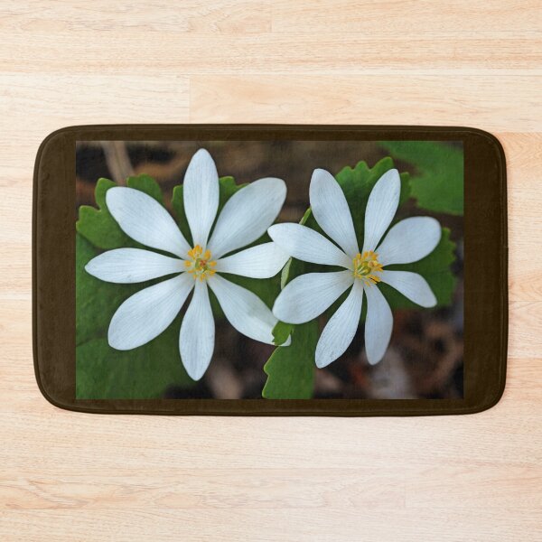 Item preview, Bloodroot designed and sold by Debbie Oppermann.