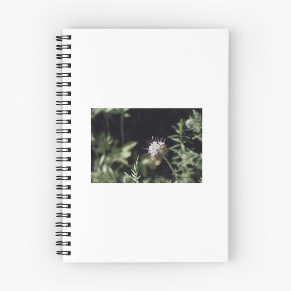 Item preview, White flower in focus, background blurry designed and sold by maylena96.