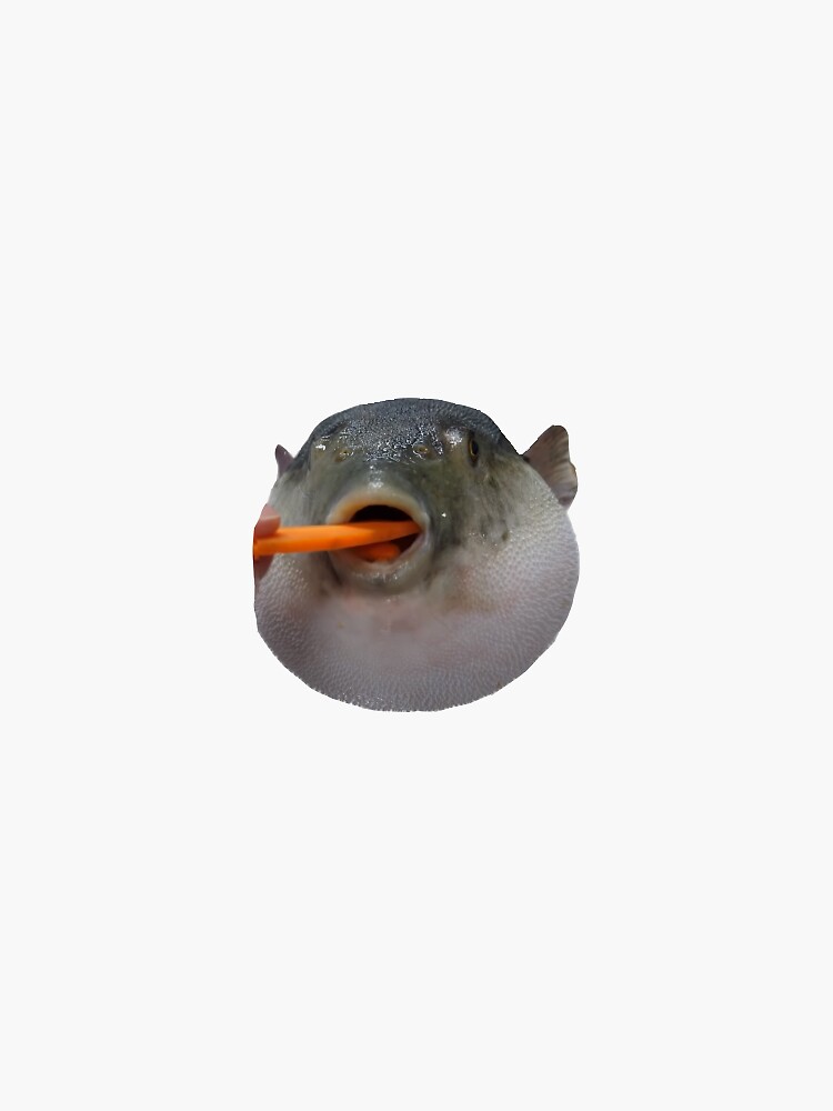 "Puffer Fish Meme" Sticker for Sale by Dr-Nippy | Redbubble