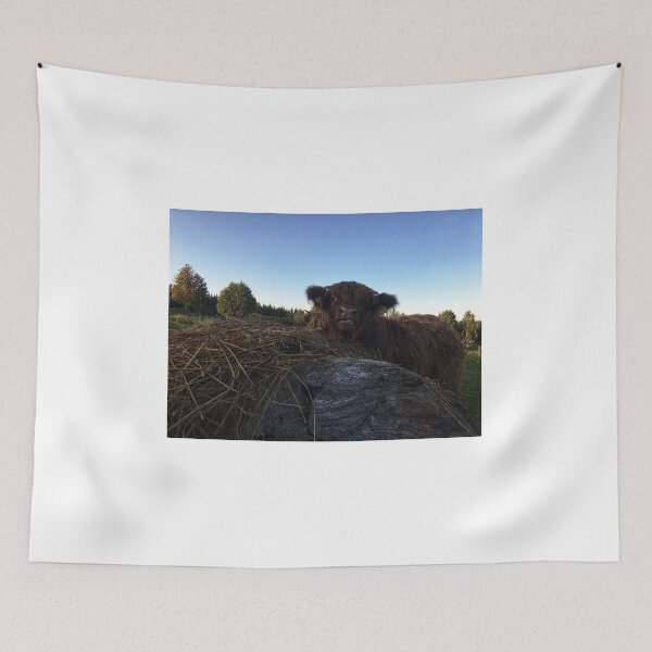 Item preview, Scottish Highland Cattle Calf 1827 designed and sold by SaarelaHighland.