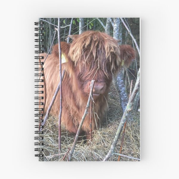 Item preview, Scottish Highland Cattle Calf 1830 designed and sold by SaarelaHighland.