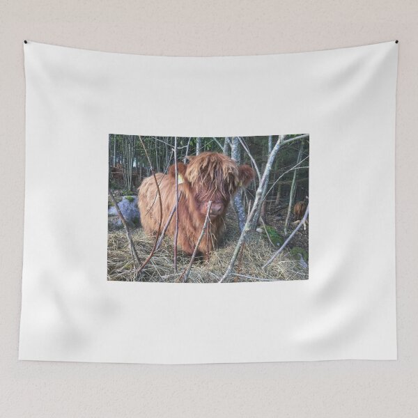 Item preview, Scottish Highland Cattle Calf 1830 designed and sold by SaarelaHighland.