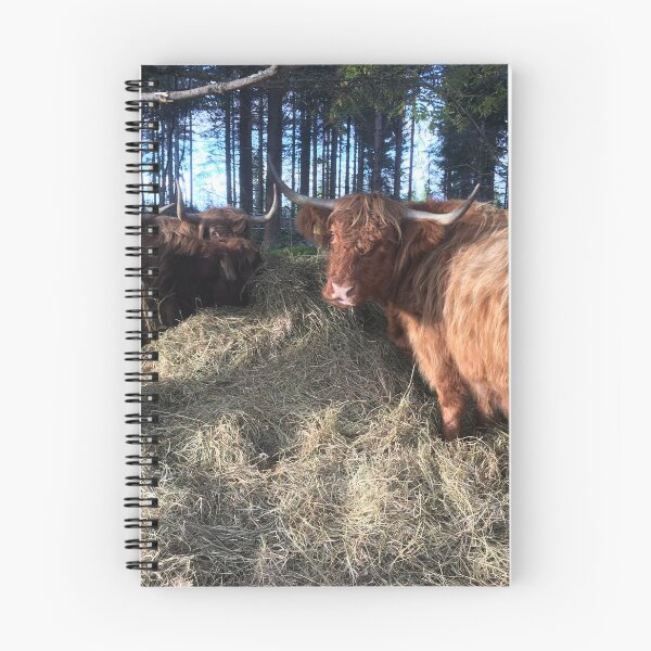 Item preview, Scottish Highland Cattle Cows 1831 designed and sold by SaarelaHighland.