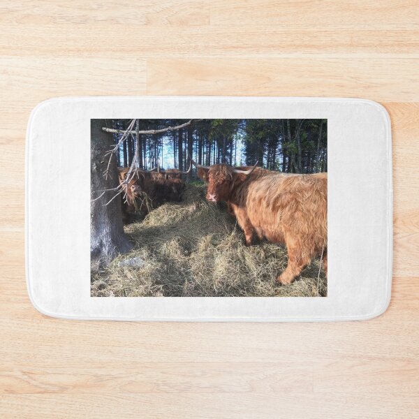 Item preview, Scottish Highland Cattle Cows 1831 designed and sold by SaarelaHighland.