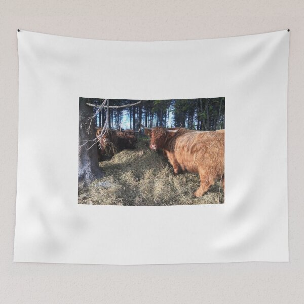 Item preview, Scottish Highland Cattle Cows 1831 designed and sold by SaarelaHighland.
