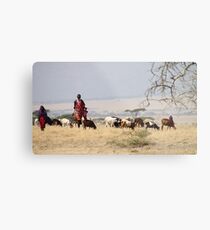 Maasai (or Masai) Herders with Cattle, Tanzania Metal Print