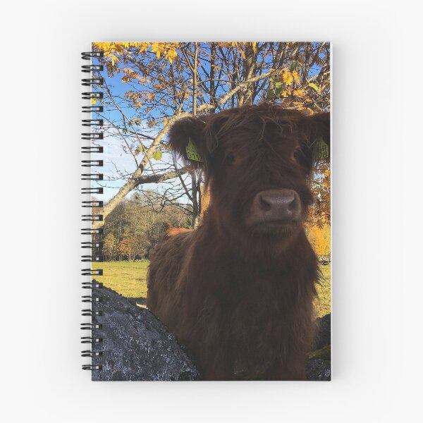Item preview, Scottish Highland Cattle Calf 1833 designed and sold by SaarelaHighland.