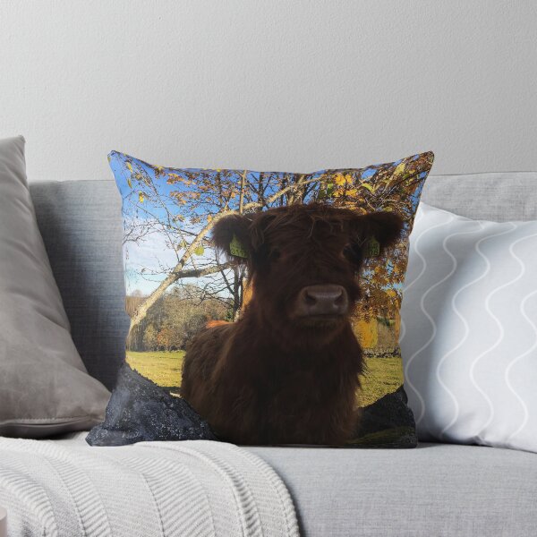 Item preview, Scottish Highland Cattle Calf 1833 designed and sold by SaarelaHighland.