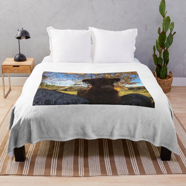 Item preview, Scottish Highland Cattle Calf 1833 designed and sold by SaarelaHighland.