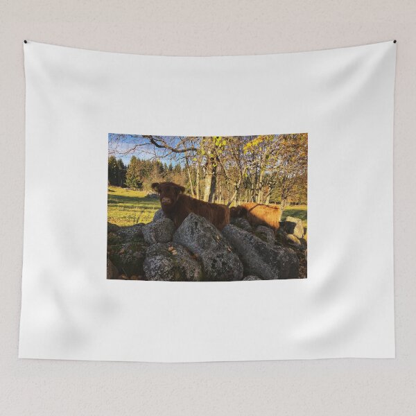 Item preview, Scottish Highland Cattle Calf 1834 designed and sold by SaarelaHighland.