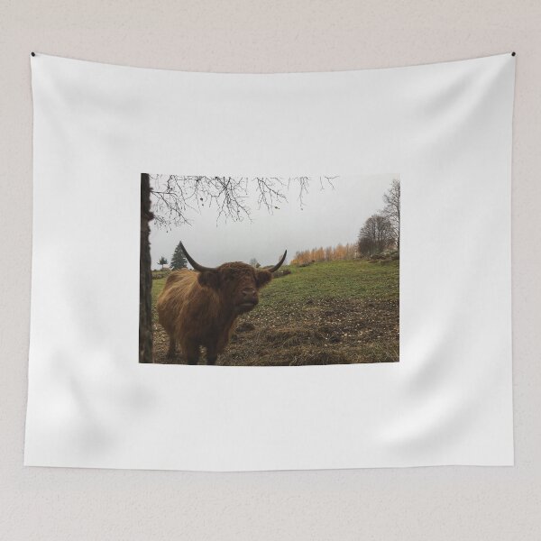 Item preview, Scottish Highland Cattle Cow 1835 designed and sold by SaarelaHighland.