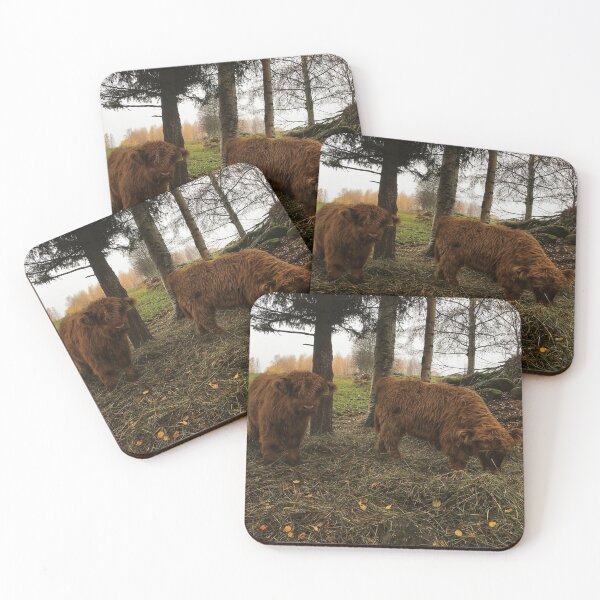 Item preview, Scottish Highland Cattle Calves 1836 designed and sold by SaarelaHighland.