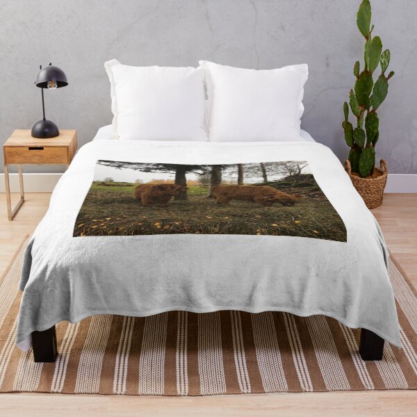 Item preview, Scottish Highland Cattle Calves 1836 designed and sold by SaarelaHighland.