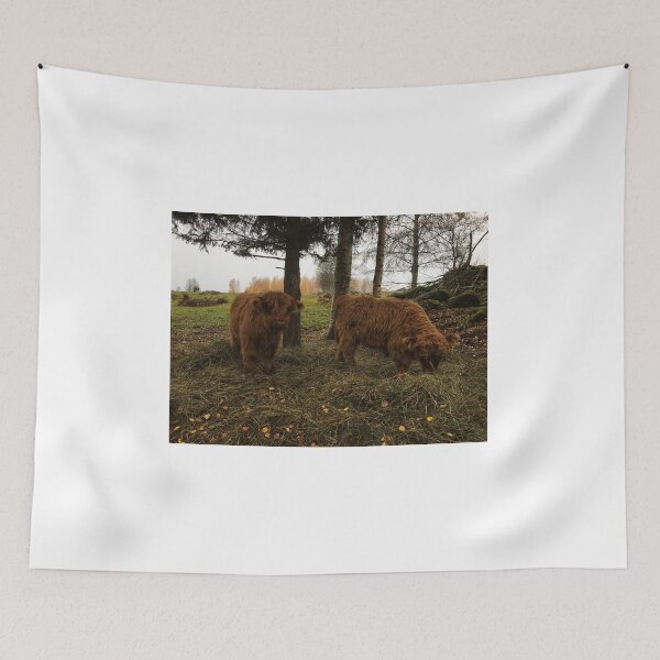 Item preview, Scottish Highland Cattle Calves 1836 designed and sold by SaarelaHighland.