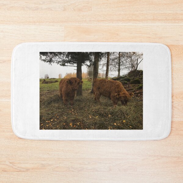 Item preview, Scottish Highland Cattle Calves 1836 designed and sold by SaarelaHighland.