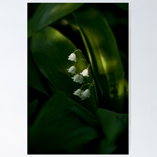 Item preview, Lily of the Valley designed and sold by Maryna Gumenyuk.