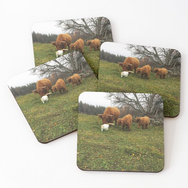 Item preview, Scottish Highland Cattle Calves and Cat 1838 designed and sold by SaarelaHighland.