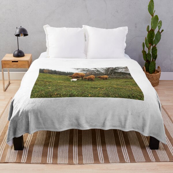 Item preview, Scottish Highland Cattle Calves and Cat 1838 designed and sold by SaarelaHighland.