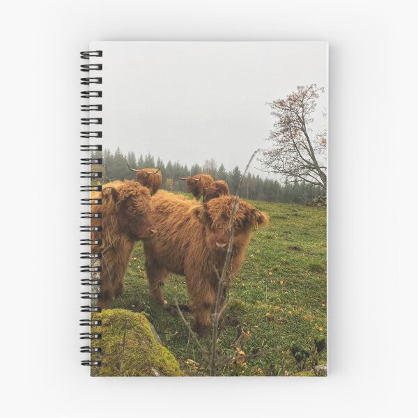 Item preview, Scottish Highland Cattle Calves 1839 designed and sold by SaarelaHighland.
