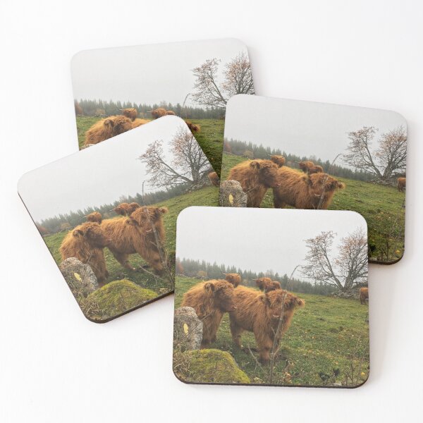 Item preview, Scottish Highland Cattle Calves 1839 designed and sold by SaarelaHighland.