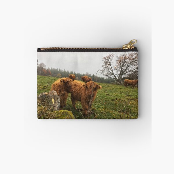 Item preview, Scottish Highland Cattle Calves 1839 designed and sold by SaarelaHighland.