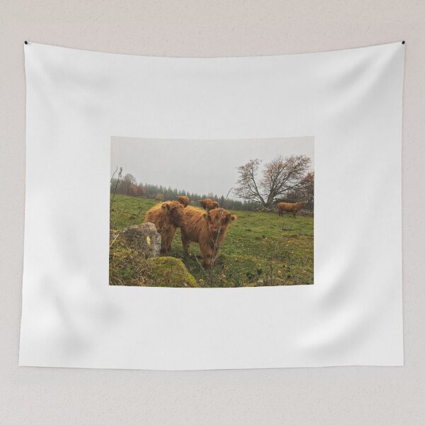 Item preview, Scottish Highland Cattle Calves 1839 designed and sold by SaarelaHighland.