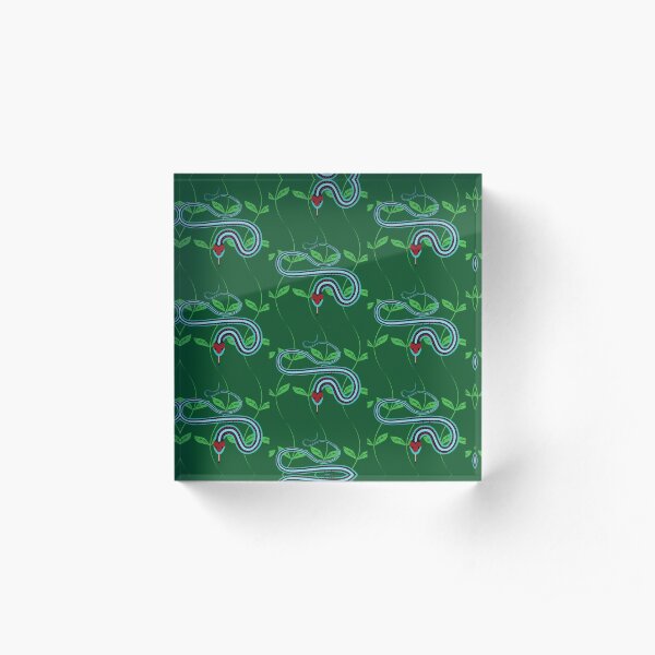 Snake Pattern Acrylic Block