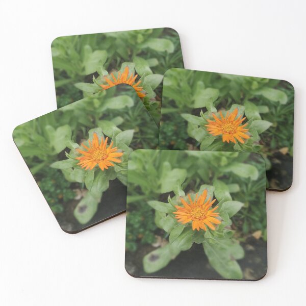 Item preview, Orange Flower  designed and sold by Hazel Meades.