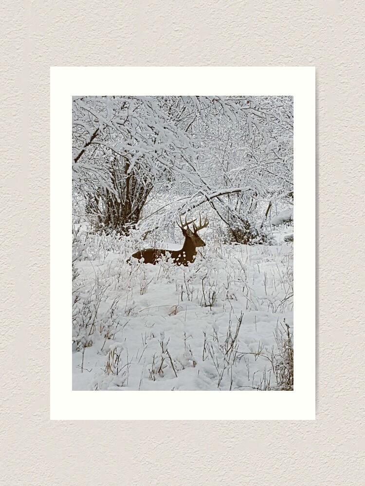 Alternate view of Deer in the Snowy Forest Art Print