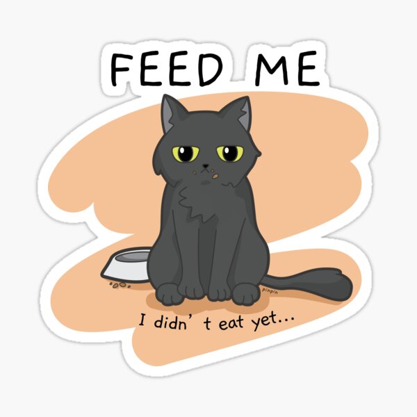 Pinpin Cat - Feed me funny design Sticker