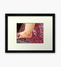 Wine stomping Framed Print