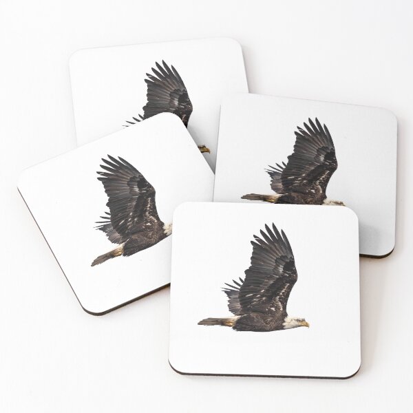 Item preview, Isolated Bald Eagle 2019-3A designed and sold by Thomasyoung.