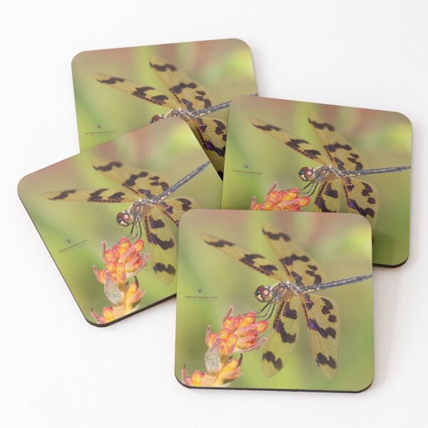 Item preview, Graphic Flutterer  designed and sold by Wanderingeagles.